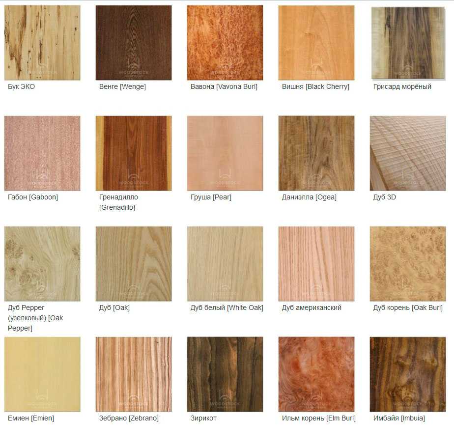 Текстура древесины разных пород фото