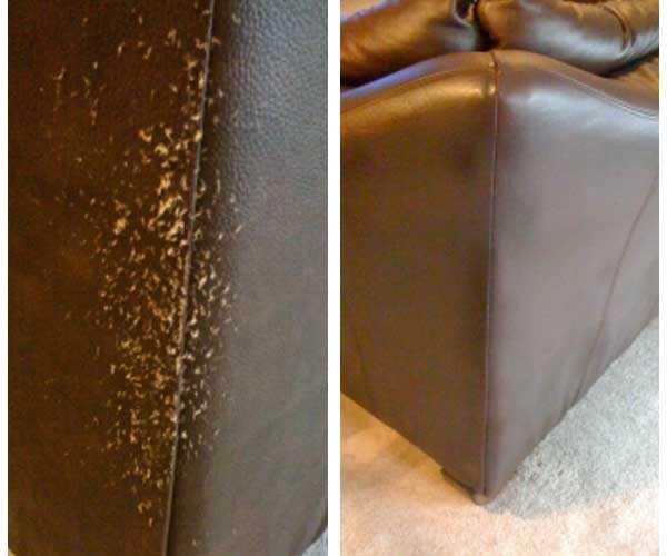 Что делать если кот поцарапал кожаный диван?