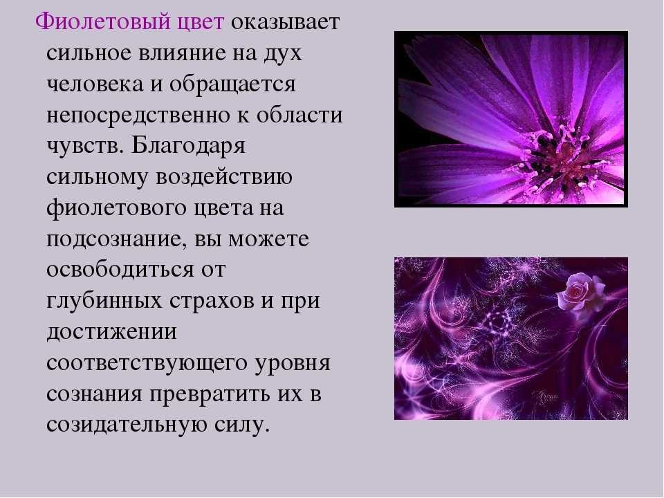 Черный в психологии означает. Фиолетовый в психологии. Влияние фиолетового цвета на человека. Фиолетовый цвет в психологии. Сиреневый цвет в психологии.