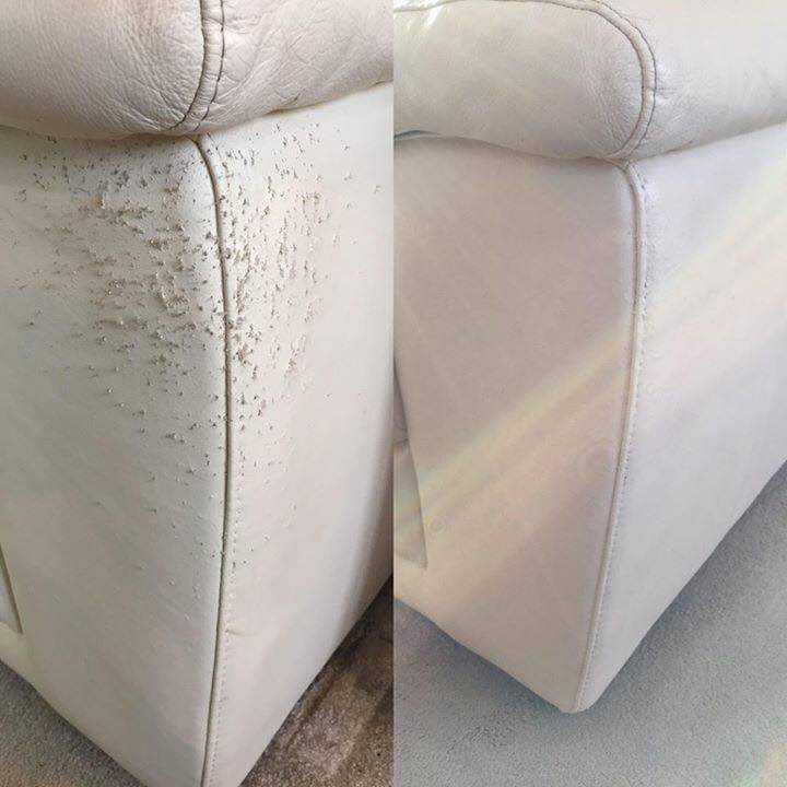 Кошка поцарапала диван из кожзама что делать. кошка поцарапала кожаный диван