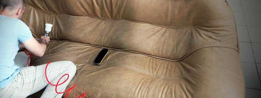 Что делать, если кот поцарапал диван