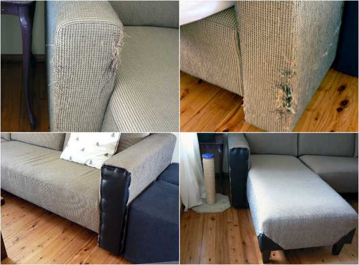 Что делать если кот поцарапал кожаный диван?