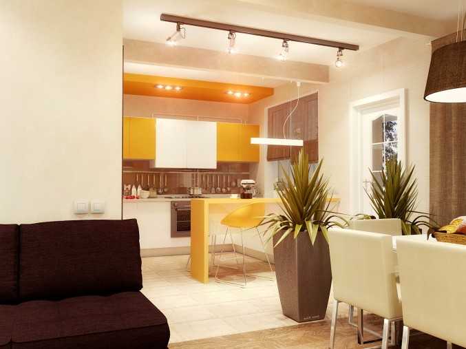 Дизайн кухни-гостиной 17 кв. м. с зонированием: 50 фото интерьеров