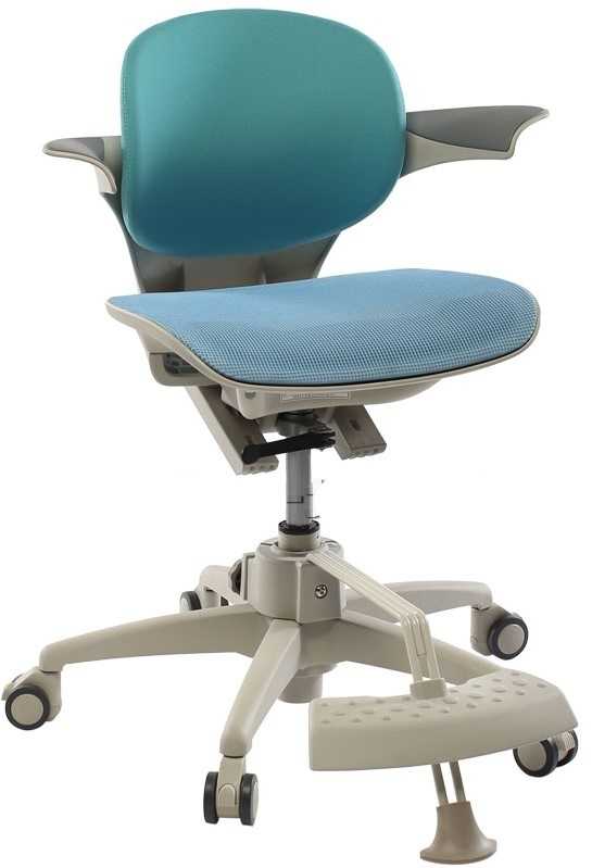 Выбираем ортопедическое компьютерное кресло для дома и офиса