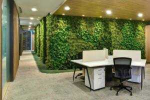 вертикальное озеленение в офисе
