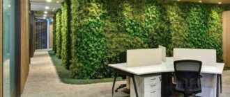 вертикальное озеленение в офисе