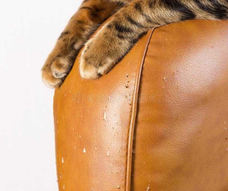 Ремонт кожаных диванов своими руками: 15 лучших способов, как убрать царапины