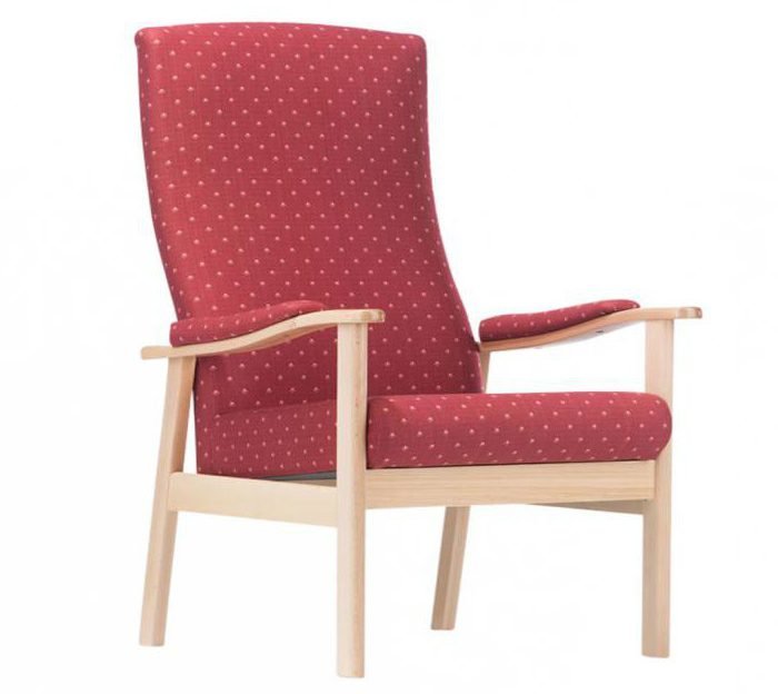 Кресла с высокой спинкой (32 фото): вольтеровское кресло для отдыха, мебель для дома с подлокотниками