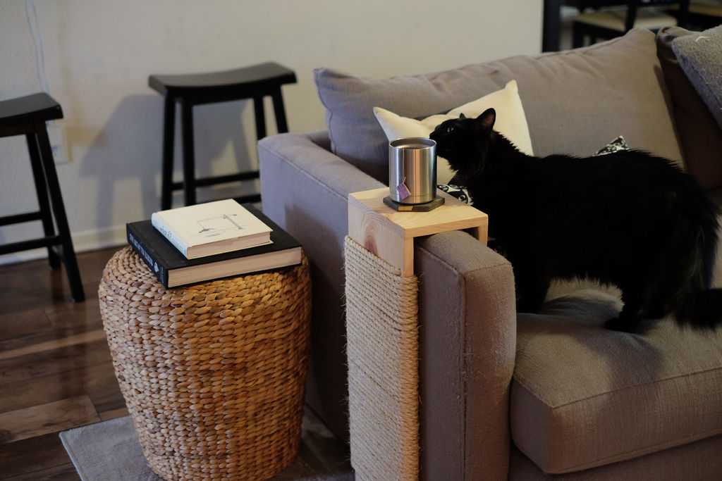 Кот поцарапал кожаный диван - что делать? sokol-clean.ru