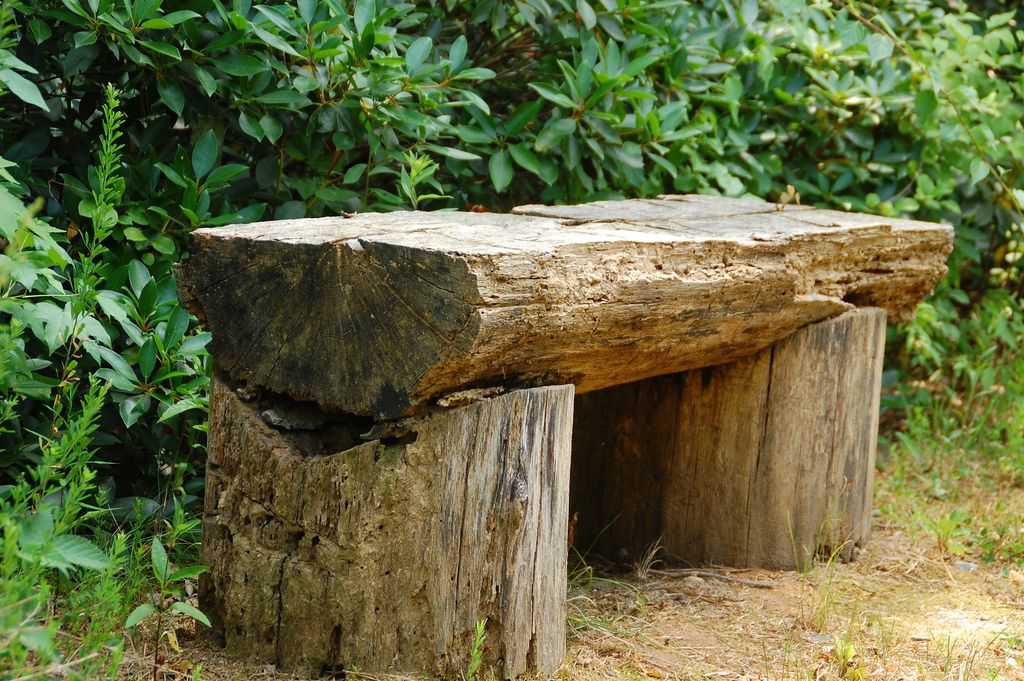 Мебель из коряг. садовая мебель из дерева, веток, пеньков и коряг видео — интересные идеи для изготовления садовой скамейки своими силами